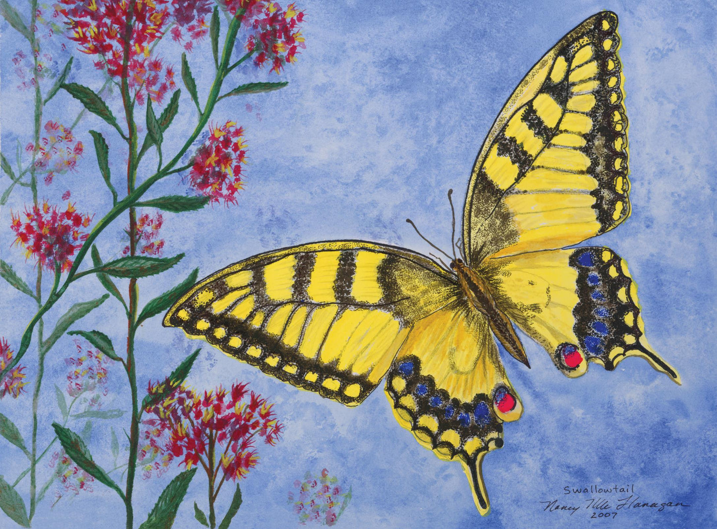 Nancy Flanagan, Yellow Swallowtail Butterfly, Greeting Card