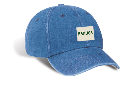 Unstructured Denim Dad Hat - DENIM